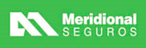 MERIDIONAL + TREU + LOGO + SEGUROS